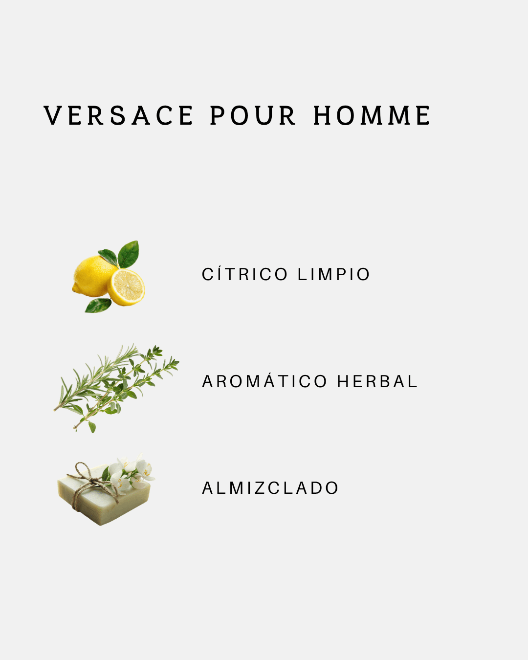 Versace Pour Homme — imagen 3