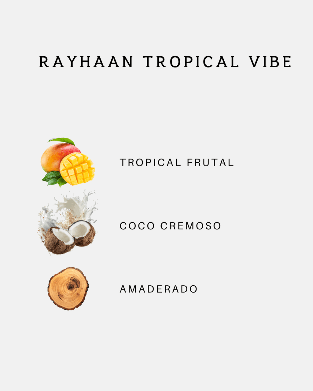 Rayhaan Tropical Vibe — imagen 3