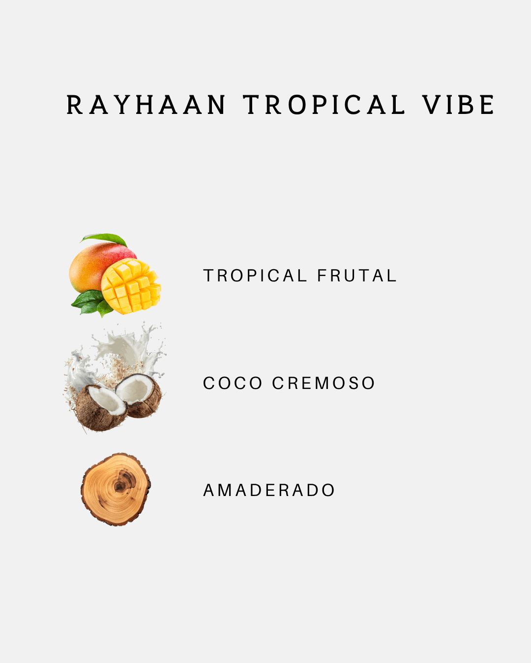 Rayhaan Tropical Vibe — imagen 3