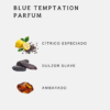 Blue Temptation Parfum Zara