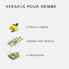 18 Versace Pour Homme