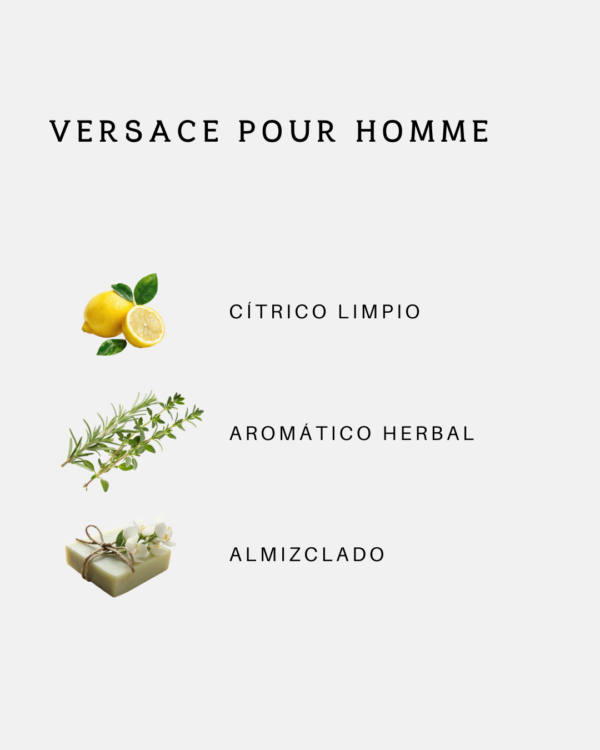 18 Versace Pour Homme