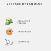 20 Versace Dylan Blue Pour Homme