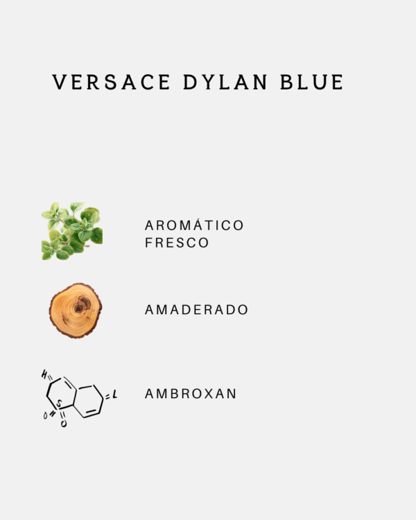 20 Versace Dylan Blue Pour Homme