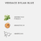 Versace Dylan Blue Pour Homme