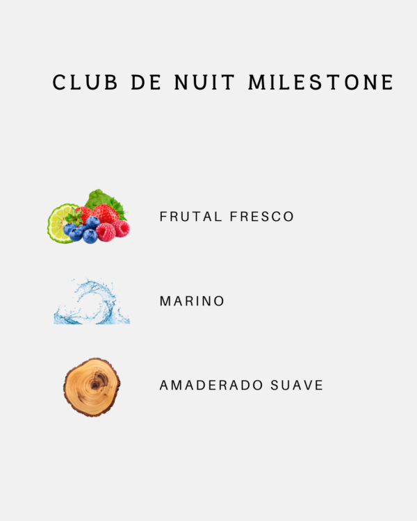 28 Armaf Club de Nuit Milestone