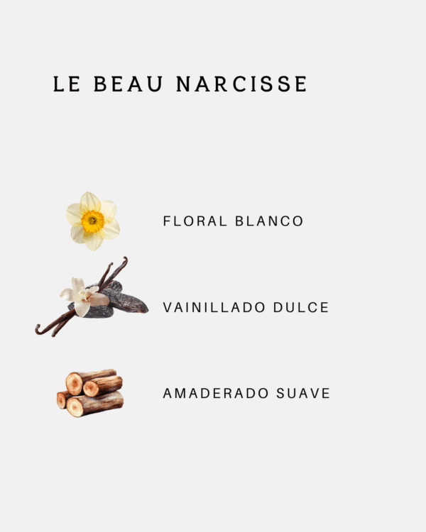 Le Beau Narcisse JPG
