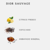Dior Sauvage Eau de Toilette