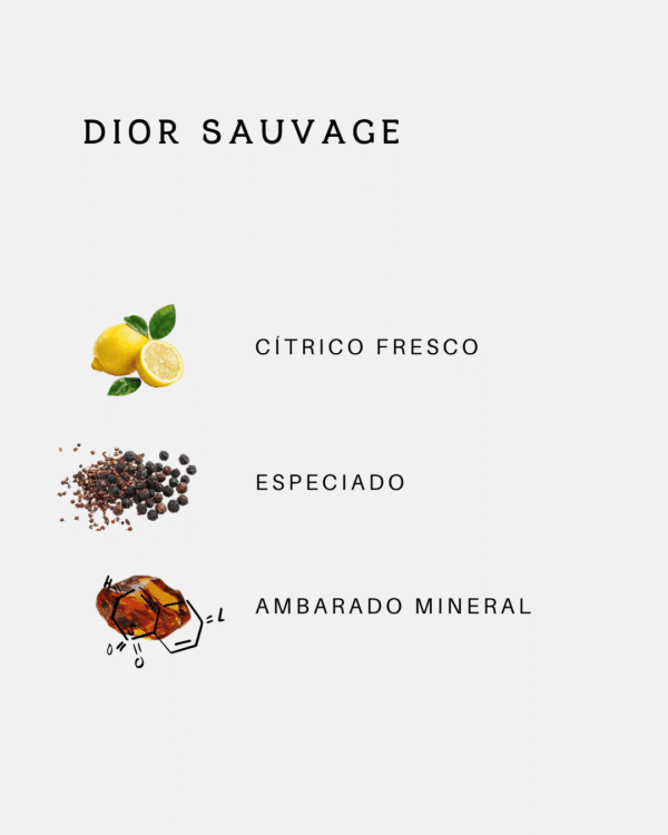 Dior Sauvage Eau de Toilette