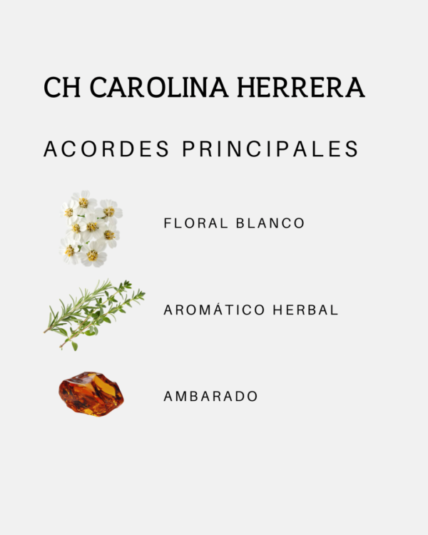 Set Perfecto Femenino