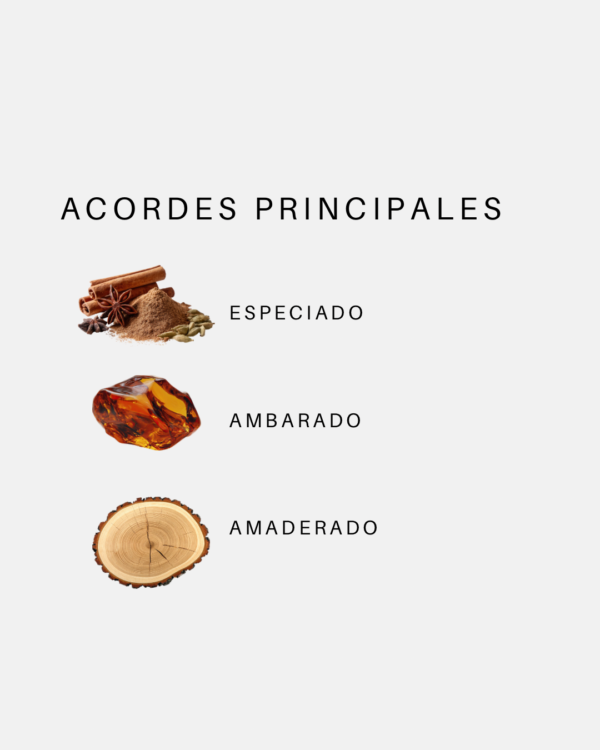 Lattafa Asad - 2 Afnan Turathi Brown